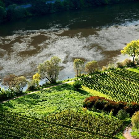 Apartamento Weingut Helmut Barzen Zell Exterior foto