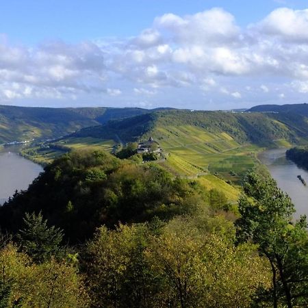 Apartamento Weingut Helmut Barzen Zell Exterior foto