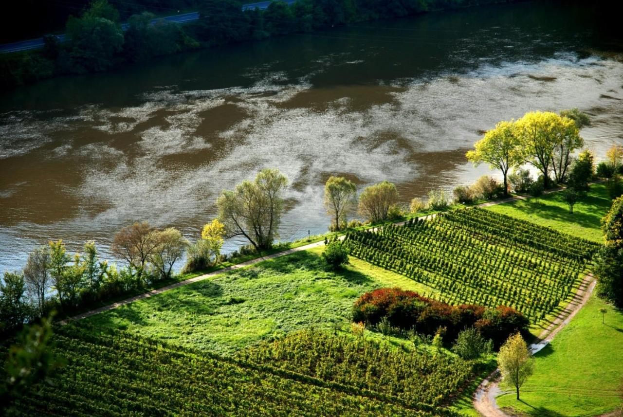 Apartamento Weingut Helmut Barzen Zell Exterior foto